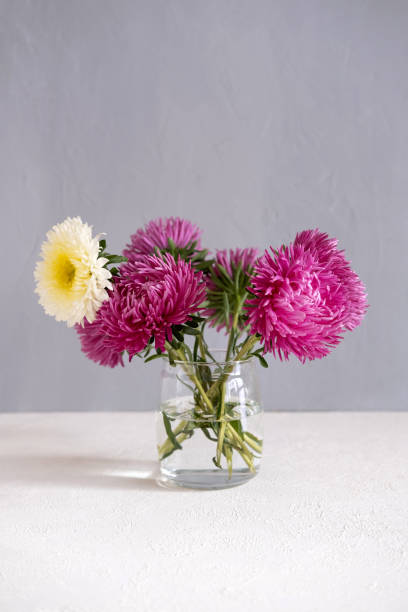 istock Pink Flowers In A Vase On A White Table Against A Grey Wall. 1173716229