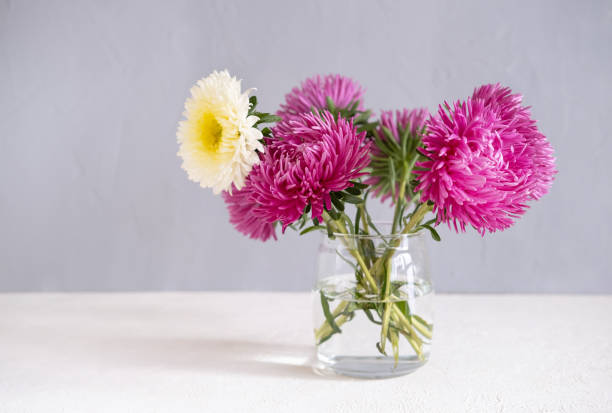 istock Pink Flowers In A Vase On A White Table Against A Grey Wall. 1173716261
