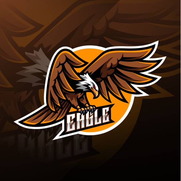 projekt logo maskotki eagle sport - phoenix tattoo bird wing stock illustrations