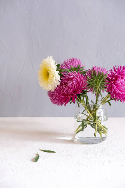 istock Pink Flowers In A Vase On A White Table Against A Grey Wall. 1173716345