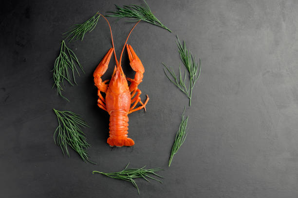 istock lobster with green dill on black background top view 1173726677