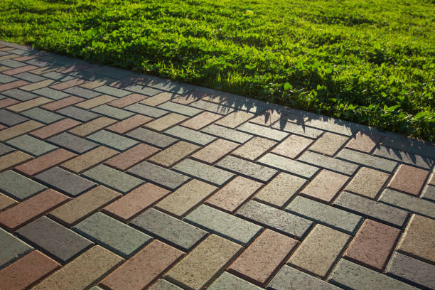 istock Colorful cobblestone road pavement and lawn divided by a concrete curb. Backlight. 1173727970