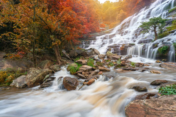 istock Mae ya waterfall is a big beautiful waterfalls in Chiang mai Thailand 1173728078