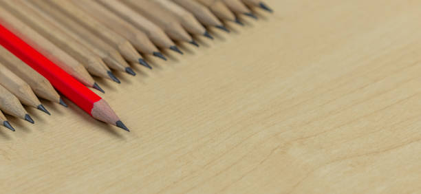 istock Different pencil standout show leadership concept. 1173729844