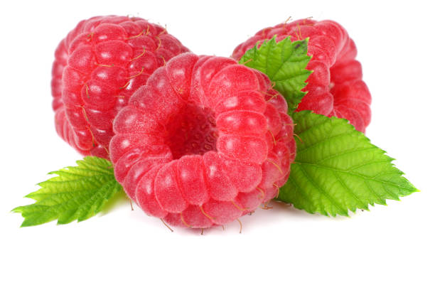 istock ripe raspberries with green leaf isolated on white background macro 1173730116
