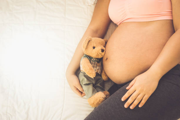 Happy pregnant woman and expecting baby at home. Pregnant woman feeling happy at home while taking care of her child. The young expecting mother holding baby in pregnant belly. Maternity prenatal care and woman pregnancy concept. bear stomach stock pictures, royalty-free photos & images