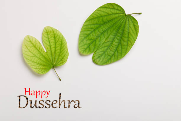 istock Dussehra greeting card using apta / Bauhinia racemosa 1173733619