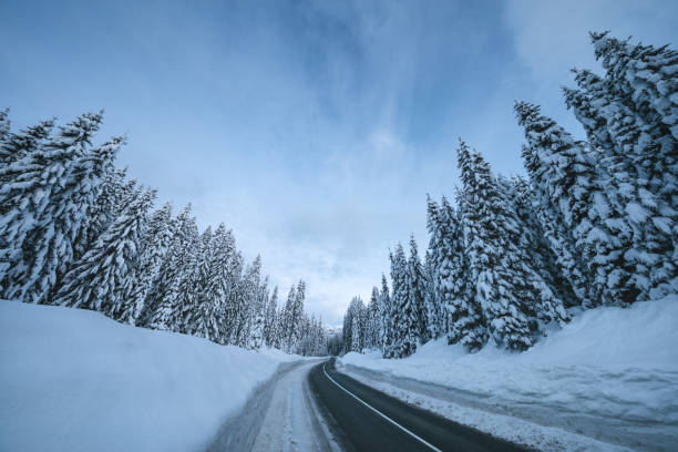 istock Mountain Road In Winter 1173733627