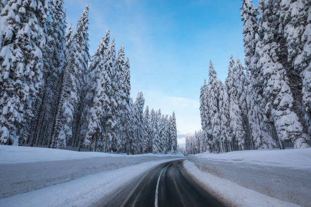 istock Mountain Road In Winter 1173733628