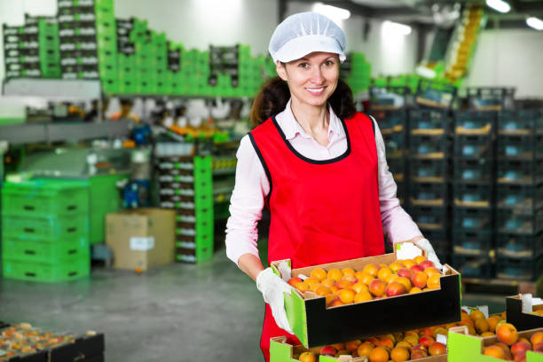 istock Woman working with selected apricots 1173733933