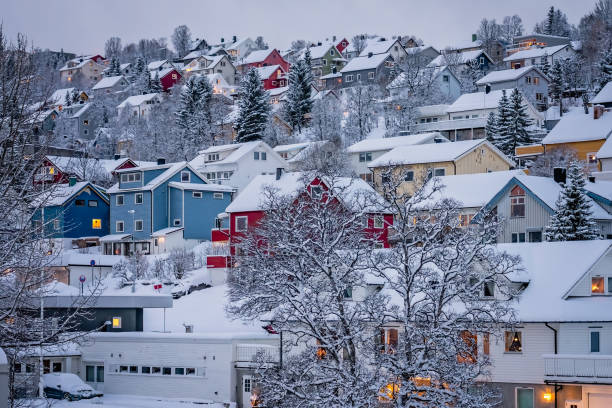 istock Hillside houses in Tromso in winter 1173737608