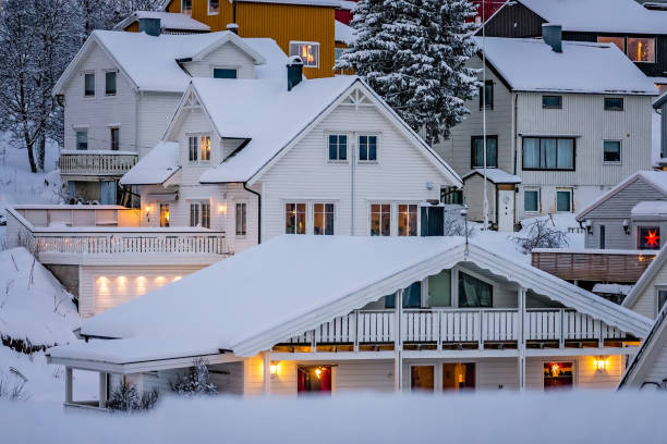 istock Hillside houses in Tromso in winter 1173737685