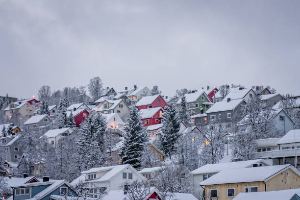 istock Hillside houses in Tromso in winter 1173737712