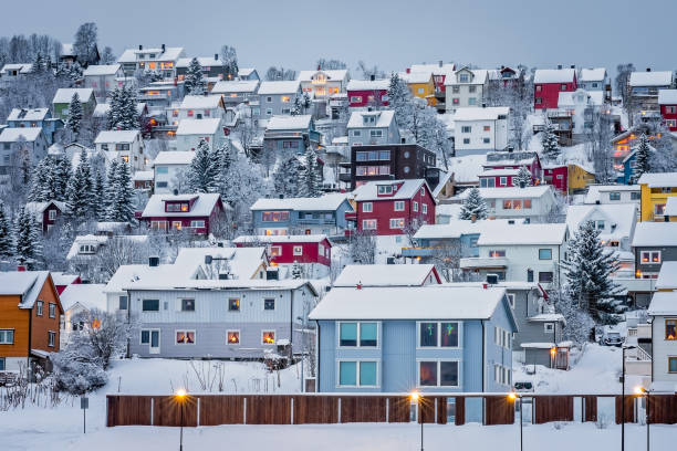 istock Hillside houses in Tromso in winter 1173738691
