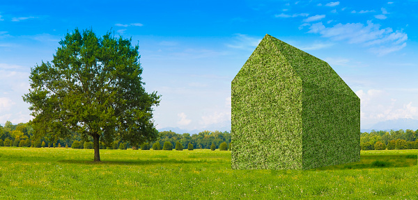 Green home in a rural scene with tree - concept image.