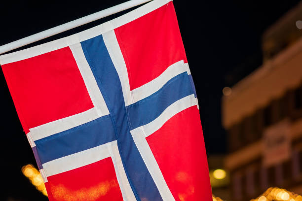 istock Norwegian flag in Tromso at night 1173738957