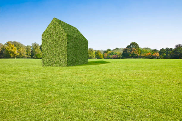 Beautiful green mowed lawn with a green home - concept image with copy space.