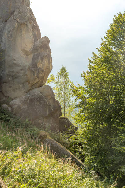 istock Sunny in mountains hiking view. Indian summer concept. 1173742806