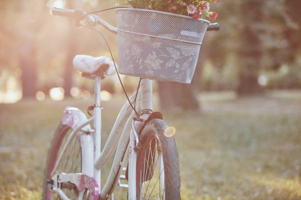 istock Retro bicycle with a basket full of flowers. 1173742921