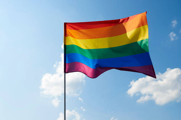 istock Shot of waving rainbow flag outside 1173744009