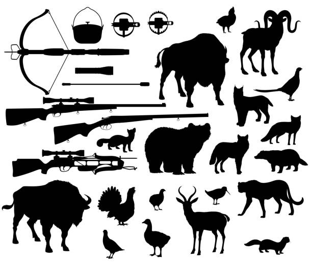 Hunting sport, animals and birds, shooting items Animals and birds silhouettes, hunting sport equipment icons. Crossbow and gun or rifle, lighter and cauldron with trap. Vector bear and buffalo, goat and antelope, lynx and cheetah, fox and wolf buffalo shooting stock illustrations