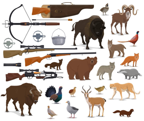 illustrations, cliparts, dessins animés et icônes de munitions de chasse, animaux trophée de chasseur - antilope