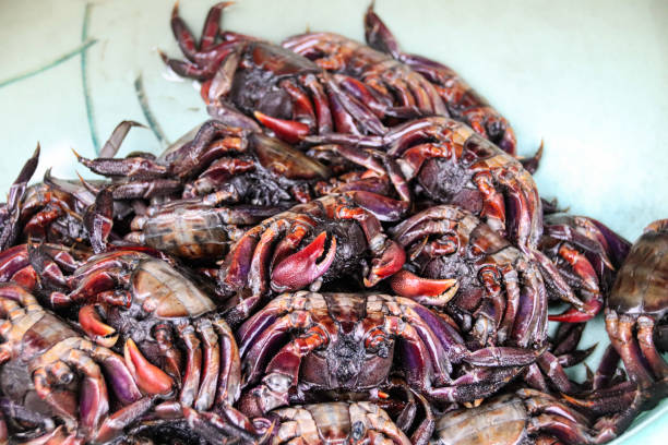 istock Cambodian salty crab pickle 1173750349