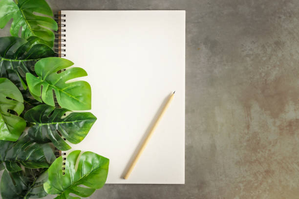 istock blank sketchbook and green leaves 1173751794