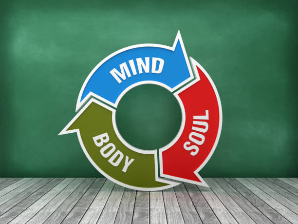 istock Circular Arrows Diagram with MIND SOULD BODY Words on Chalkboard Background - 3D Rendering 1173752408