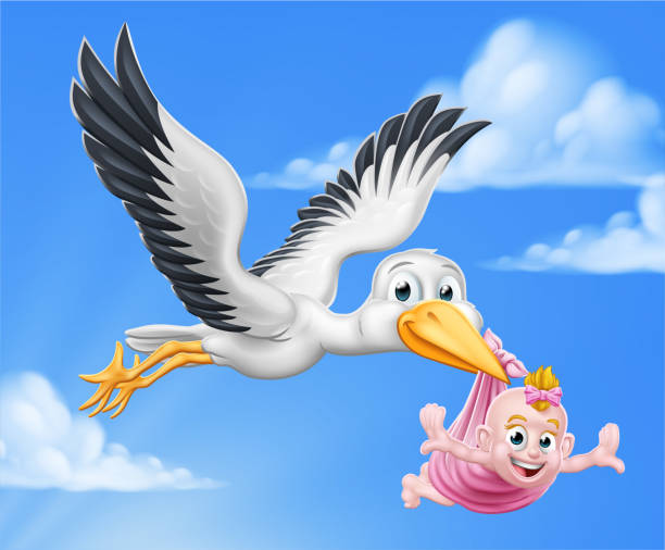 Stork Cartoon Pregnancy Myth Bird With Baby Girl A stork or crane cartoon bird flying through the sky carrying a new born baby as in the pregnancy myth. heron background stock illustrations