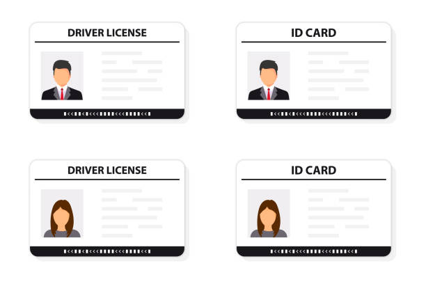 Driver license. ID card. Identification card icon. Man and woman driver license and ID cards card template. Icon driver's license. Driver license, identity verification, person data. Driver license. ID card. Identification card icon. Man and woman driver license and ID cards card template. Icon driver's license. Driver license, identity verification, person data. drivers license photos stock illustrations
