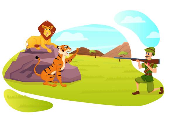 hunter aiming z pistoletem do lwa i ryczącego tygrysa - tiger pointing vector cartoon stock illustrations