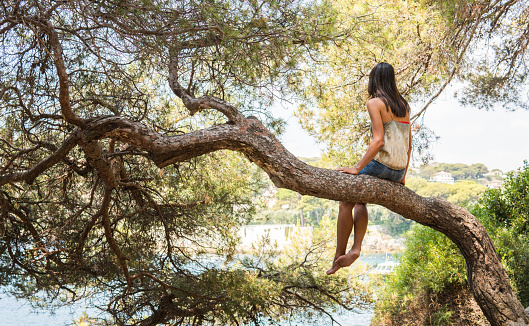 young woman on tree looking at sea