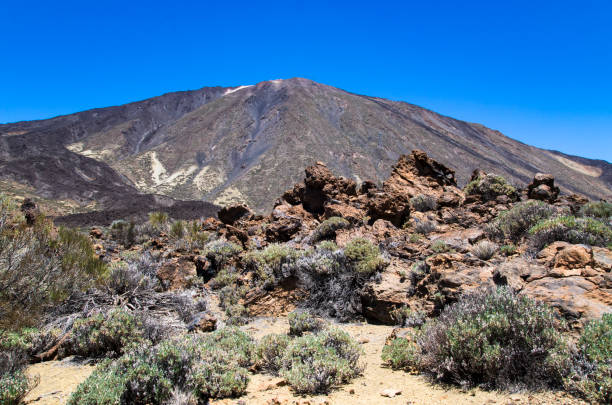 istock Teide volcano against the blue sky 1173772406