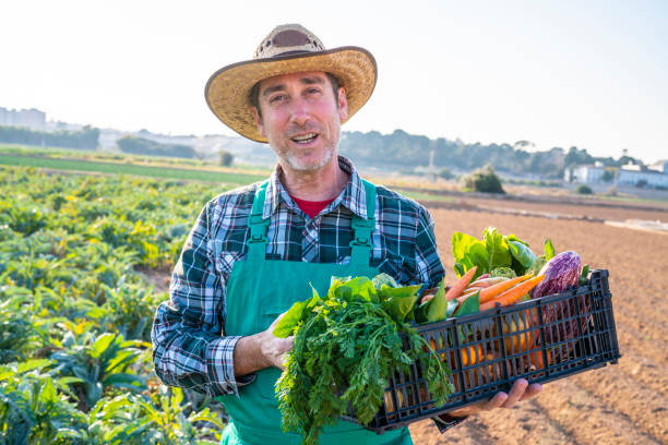 istock Agriculture farmer holding vegetables basket harvest 1173774206