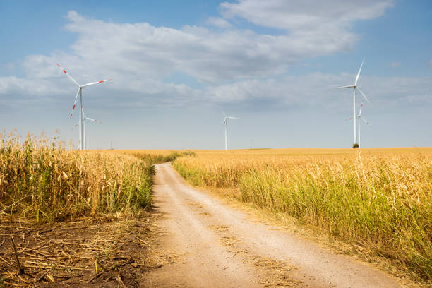 istock Windmill turbine in corn filed. 1173777291