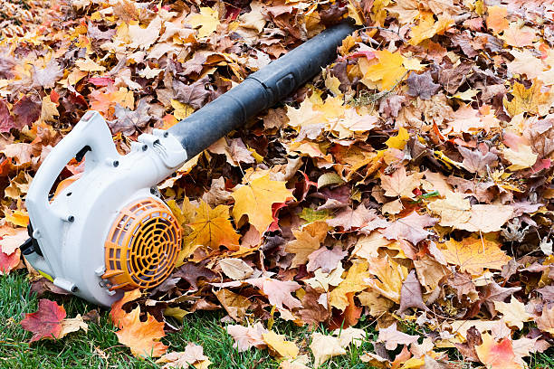 istock Leaf Blower on a Pile of Leaves. Fall Clean-Up 117377821