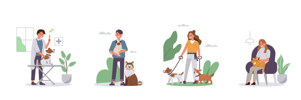 people with pets People Walking, Relaxing with Pets Set. Veterinarian vaccinating Dog in Vet Clinic. Woman and Man Characters Taking Care of Animals. Dog and Cat Pet Sitters Concept. Flat Cartoon Vector Illustration. dog sitting vector stock illustrations