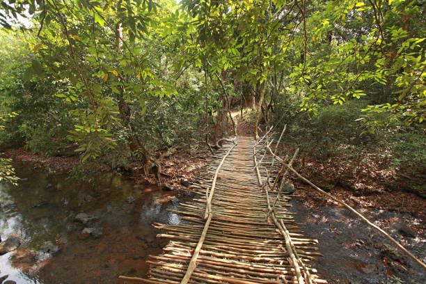 istock Sankav- a traditional village bridge 1173783005