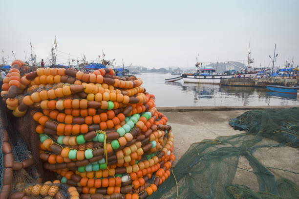 istock Fishing nets on jetty, Goa India 1173783175