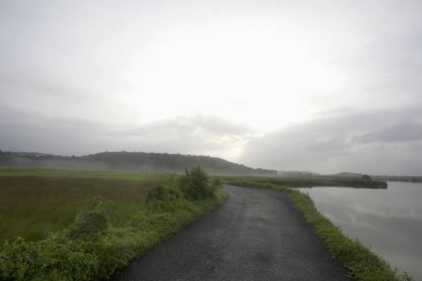 istock Road alongside backwaters in Goa, India 1173783185
