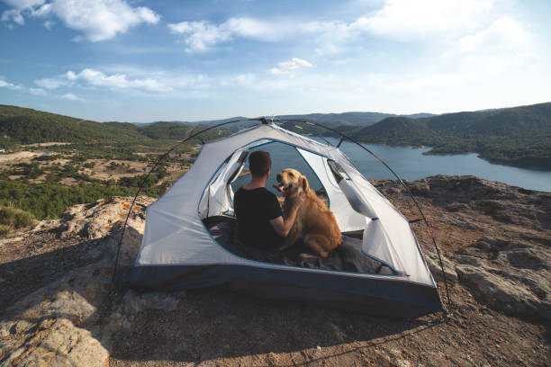 istock camping in the mountains with dog 1173788951