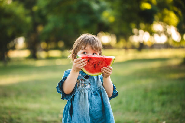 istock I will hide here, behind this slice of watermelon 1173789527