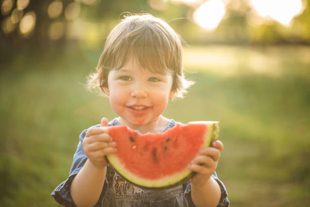 istock The best snack on summer picnic 1173790377