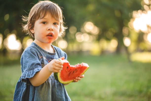 istock Healthy food has never tasted so good 1173790789