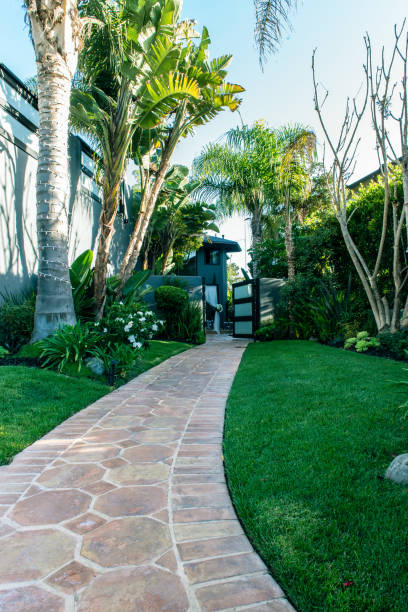 istock Garden bricks guide the welcomed guests. 1173791589