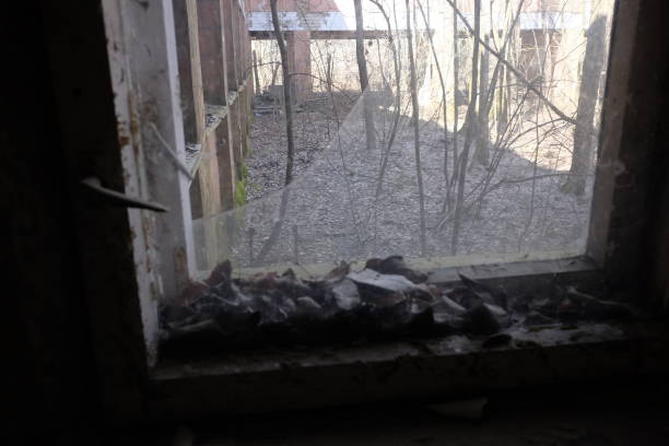 istock Chernobyl Disaster ghost town 1173791633