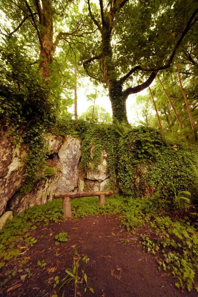 Wooden bench in Blarney Gardens, County Cork, Ireland