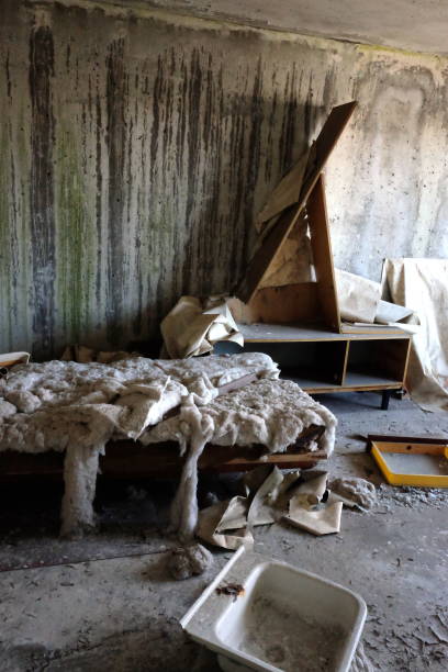 istock Chernobyl Disaster ghost town 1173793835