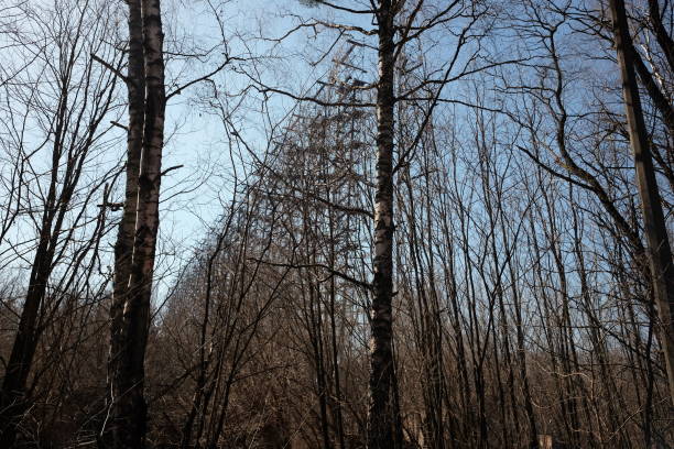 Chernobyl Disaster ghost town
